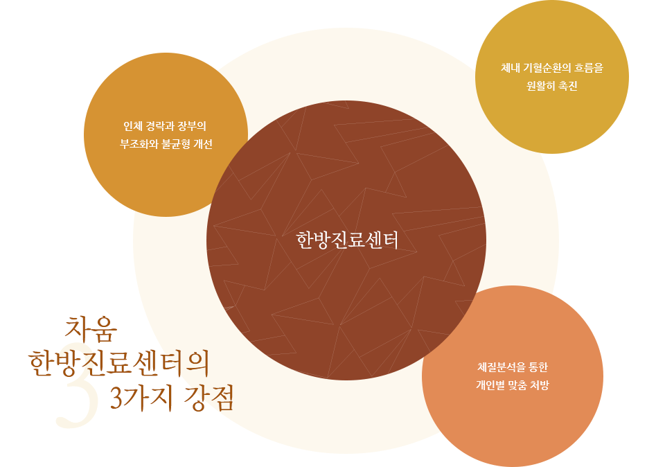 차움 한방진료센터의 3가지 강점. 체내 기혈순환의 흐름을 원활히 촉진, 인체 경락과 장부의 부조화와 불균형 개선, 체질분석을 통한 개인별 맞춤 처방